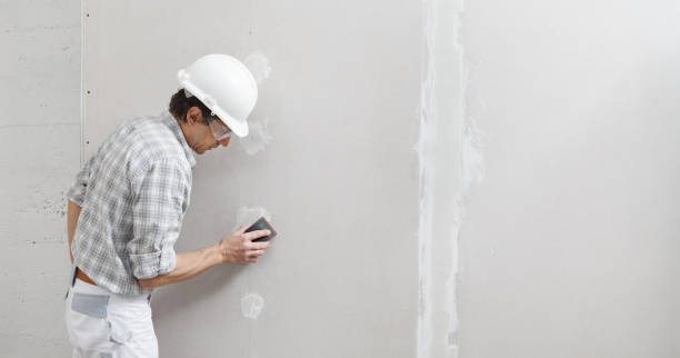 Best Mold Removal for HVAC Installations  in Valrico, FL
