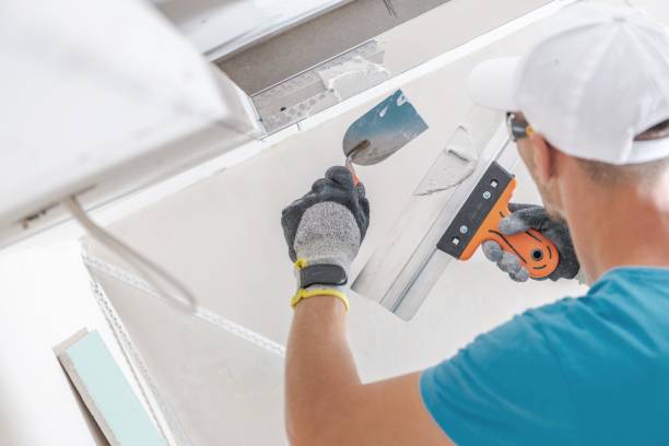  Valrico, FL Mold Removal Pros